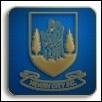 Newry Badge